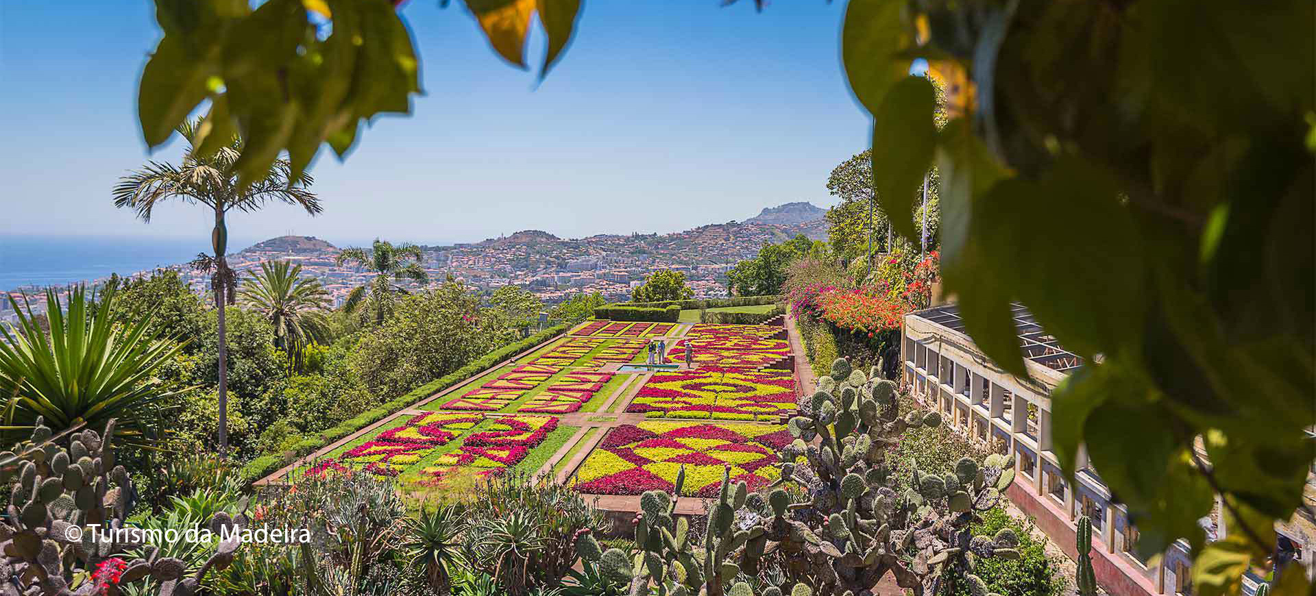 Jardim Botânico da Madeira